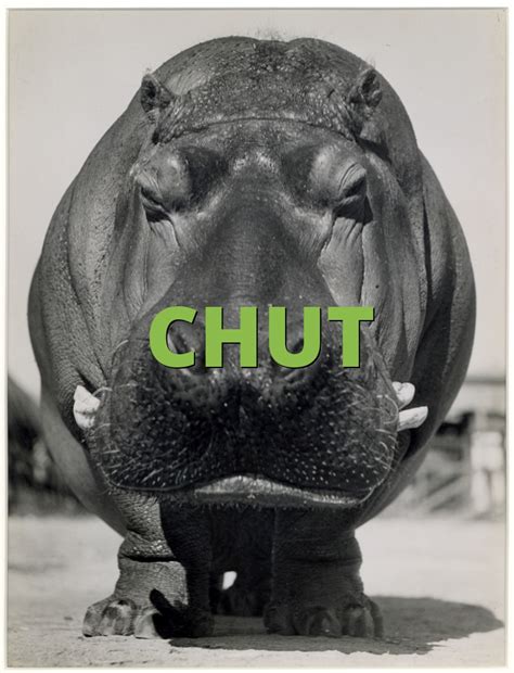 CHUT definition and meaning 